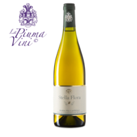 Maria Pia Castelli – Stella Flora 2019