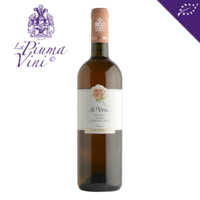 San Lorenzo – Marche Rosato di Vera 2019