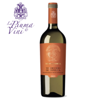 Monacesca – Verdicchio di Matelica 2021