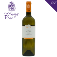 San Lorenzo – Verdicchio Le Oche 2021