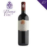 San Lorenzo – Rosso Piceno di Gino 2022