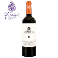 Joaquin – Fiano di Avellino Vino della Stella 2018