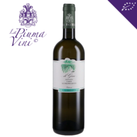 San Lorenzo – Verdicchio Di Gino 2022